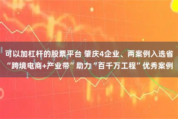 可以加杠杆的股票平台 肇庆4企业、两案例入选省“跨境电商+产业带”助力“百千万工程”优秀案例